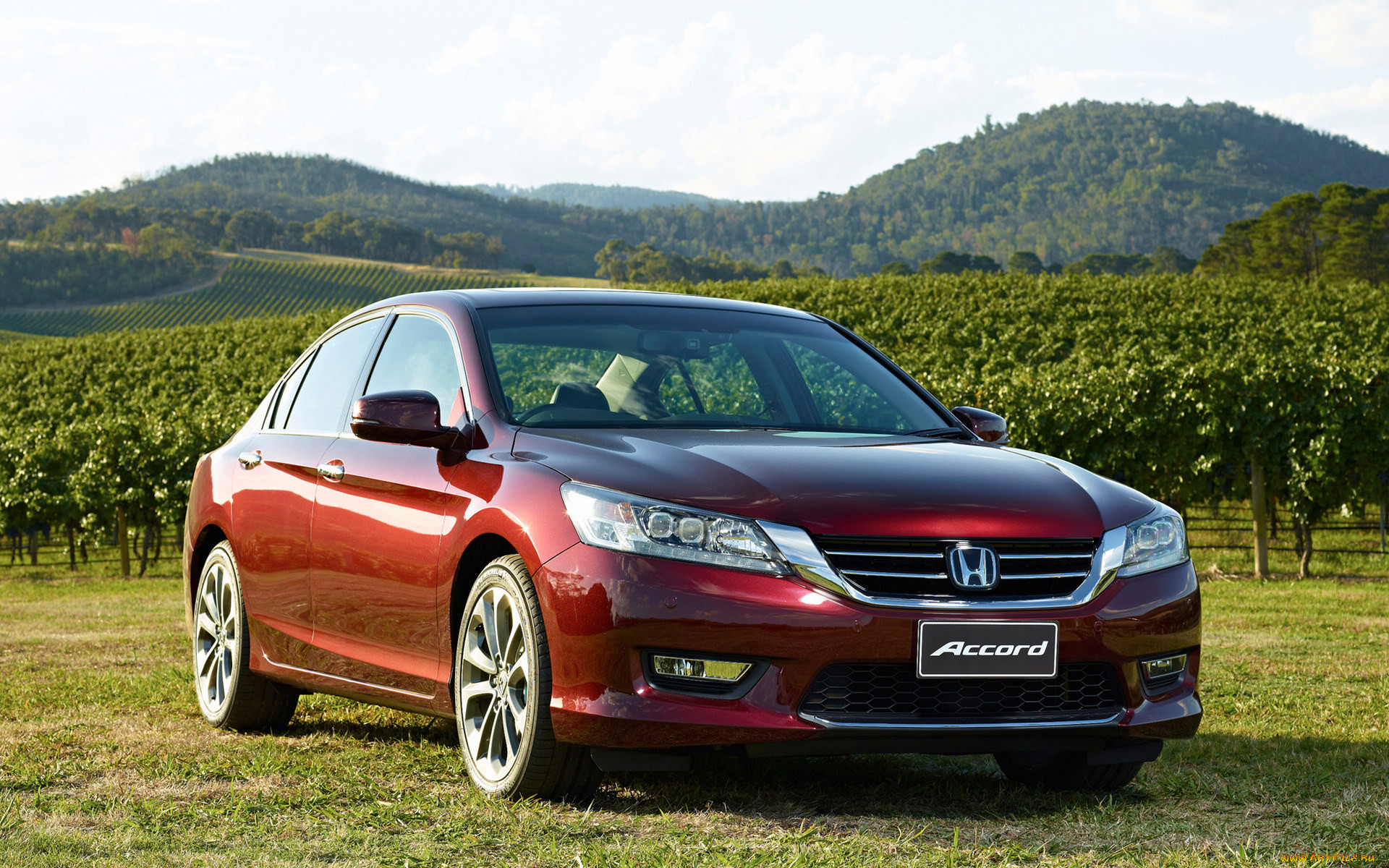 , honda, accord